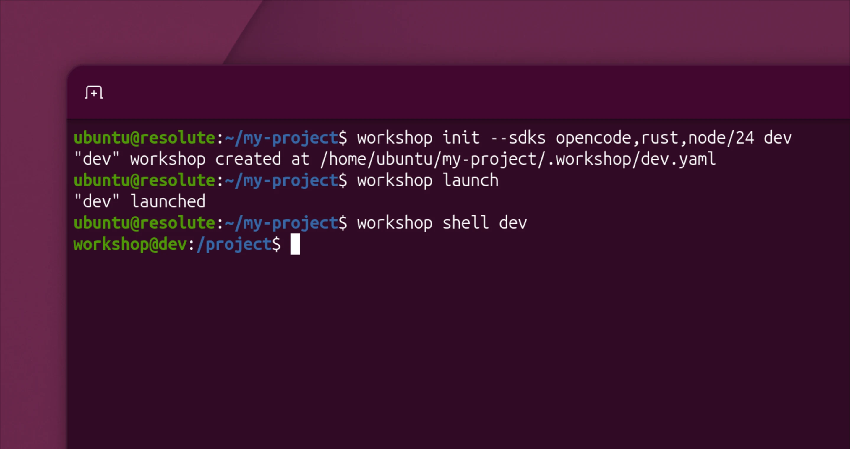 Terminal executando o Canonical Workshop para criar ambientes de desenvolvimento isolados