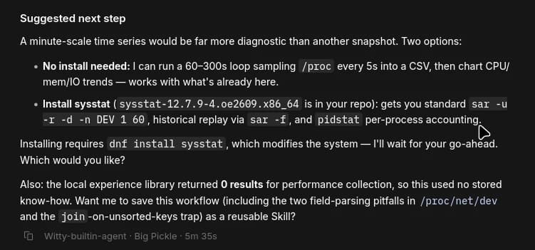 Terminal executando o Witty junto ao OpenCode no openEuler para verificação automática de métricas e gargalos de desempenho do sistema